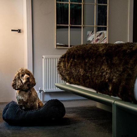 Broomhill Art Hotel Barnstaple Buitenkant foto