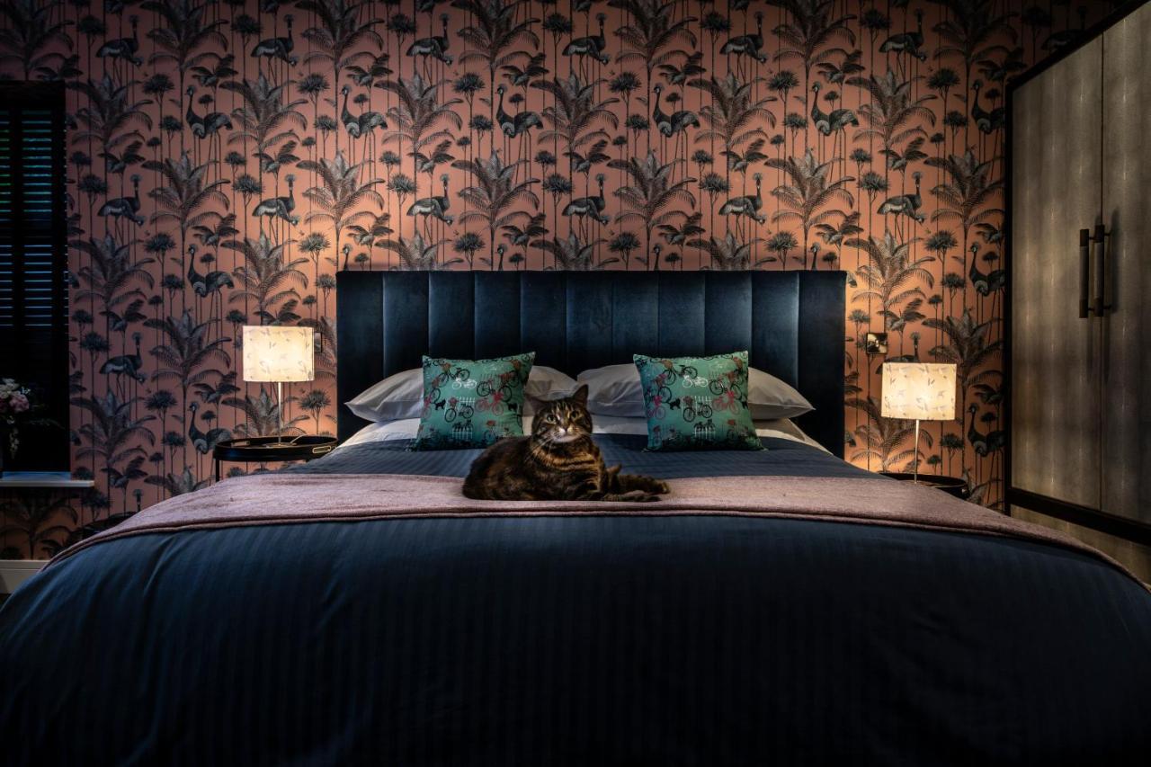 Broomhill Art Hotel Barnstaple Buitenkant foto