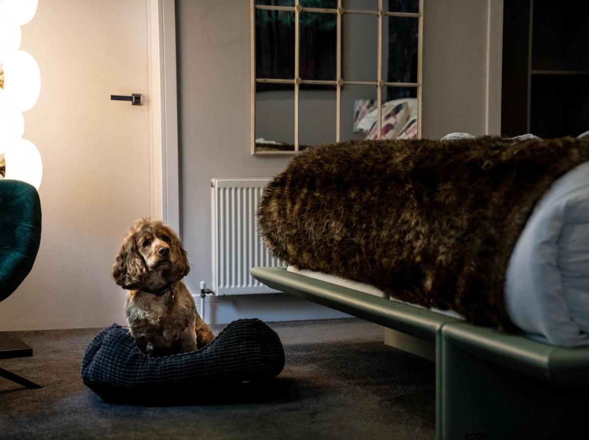 Broomhill Art Hotel Barnstaple Buitenkant foto